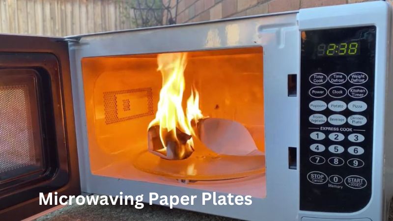 Microwaving Paper Plates